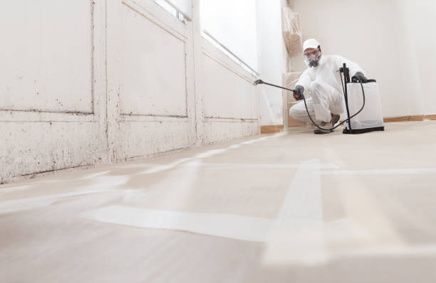 24/7 Emergency Crawl Space Mold Remediation experts in Thompson's Station, TN